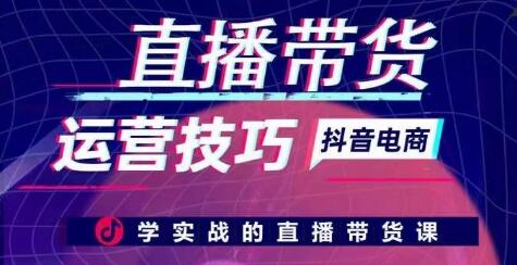 直播带货运营技巧，学实战的直播带货课-虫2小屋