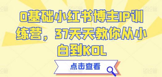 0基础小红书博主IP训练营，37天天教你从小白到KOL-虫2小屋