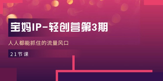 宝妈IP轻创营第3期，人人都能抓住的流量风口（21节课）-虫2小屋