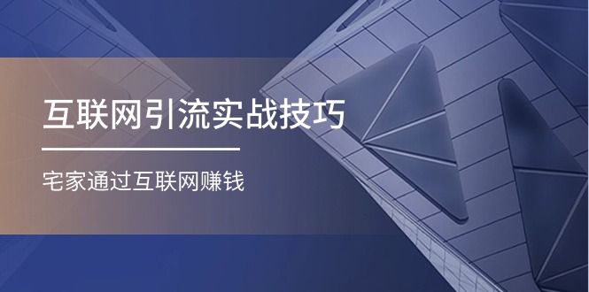 互联网引流实操技巧(适合微商，吸引宝妈)，宅家通过互联网赚钱（17节）-虫2小屋