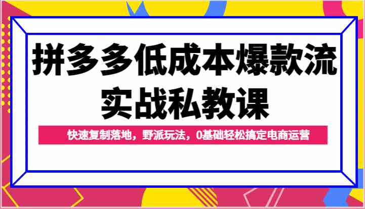 拼多多低成本爆款流实战私教课，快速复制落地，野派玩法，0基础轻松搞定电商运营-虫2小屋