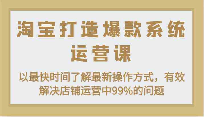 淘宝打造爆款系统运营课：以最快时间了解最新操作方式，有效解决店铺运营中99%的问题-虫2小屋