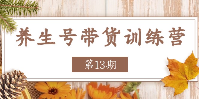 养生号带货训练营【第13期】收益更稳定的玩法，让你带货收益爆炸-虫2小屋
