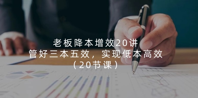 老板降本增效20讲，管好三本五效，实现低本高效（20节课）-虫2小屋