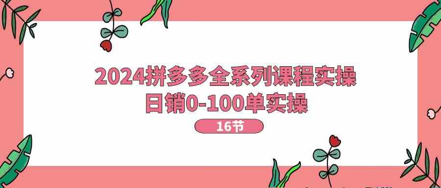 2024拼多多全系列课程实操，日销0-100单实操【16节课】-虫2小屋