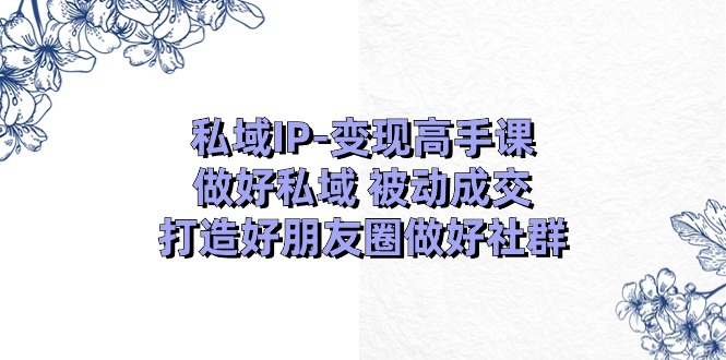 私域IP变现高手课：做好私域被动成交，打造好朋友圈做好社群（18节）-虫2小屋