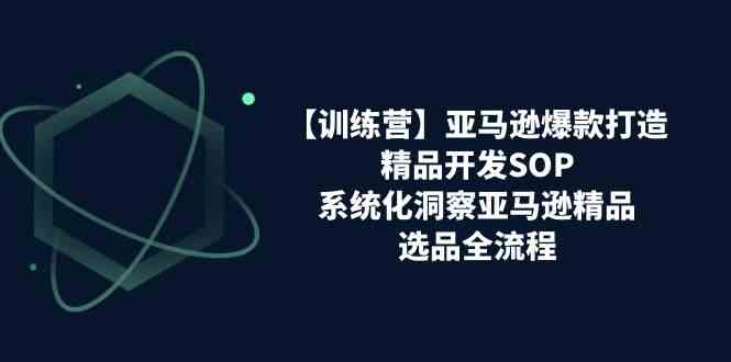 亚马逊爆款打造之精品开发SOP【训练营】，系统化洞察亚马逊精品选品全流程-虫2小屋