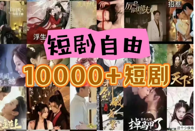 打造完全属于自己的个人短剧库，实现网盘拉新与私域变现的完美融合！-虫2小屋