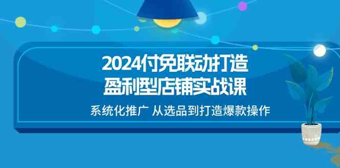 2024付免联动打造盈利型店铺实战课，系统化推广 从选品到打造爆款操作-虫2小屋