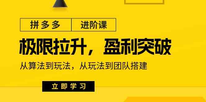 拼多多进阶课：极限拉升/盈利突破：从算法到玩法 从玩法到团队搭建（18节）-虫2小屋
