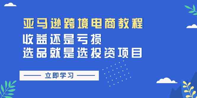亚马逊跨境电商教程：收益还是亏损！选品就是选投资项目-虫2小屋