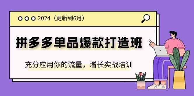 2024拼多多单品爆款打造班，充分应用你的流量，增长实战培训(更新6月)-虫2小屋