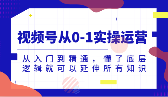 视频号从0-1实操运营，从入门到精通，懂了底层逻辑就可以延伸所有知识（更新2024.7）-虫2小屋