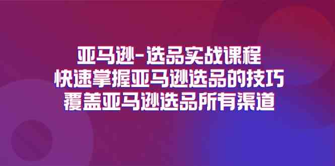 亚马逊选品实战课程，快速掌握亚马逊选品的技巧，覆盖亚马逊选品所有渠道-虫2小屋