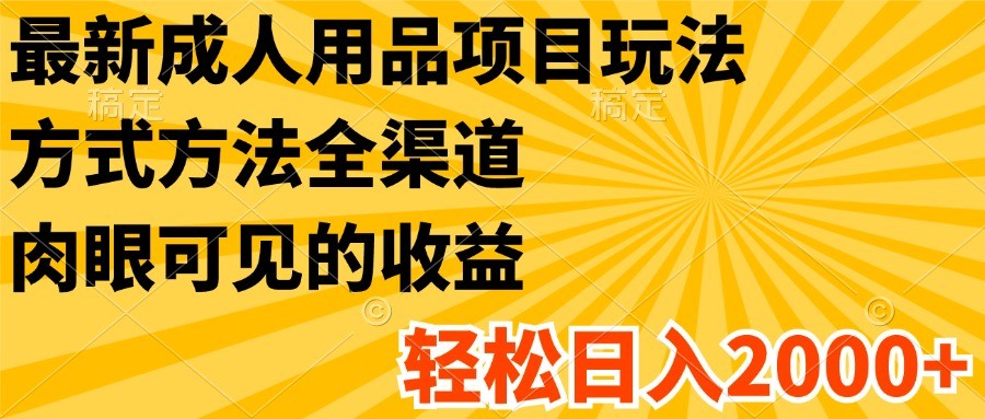 最新成人用品项目玩法，方式方法全渠道，肉眼可见的收益，轻松日入2000+-虫2小屋