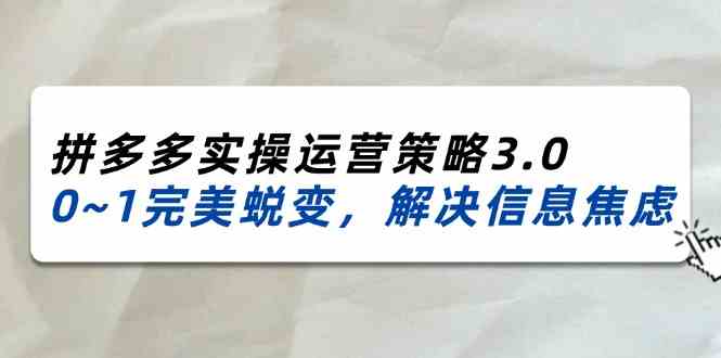 2024-2025拼多多实操运营策略3.0，0~1完美蜕变，解决信息焦虑（38节）-虫2小屋