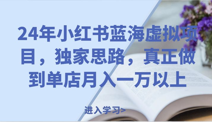 24年小红书蓝海虚拟项目，独家思路，真正做到单店月入一万以上。-虫2小屋
