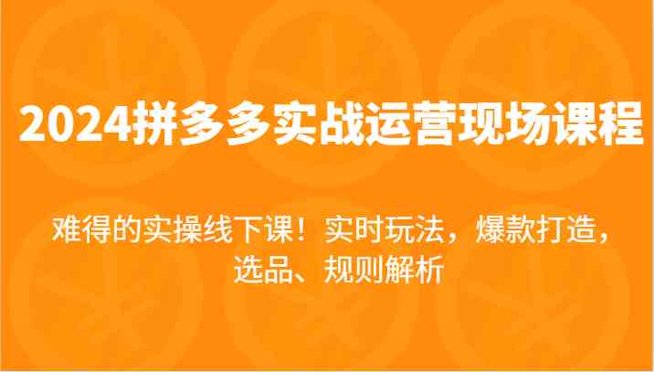 2024拼多多实战运营现场课，实时玩法，爆款打造，选品、规则解析，难得的实操线下课！-虫2小屋