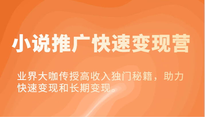 小说推广快速变现营-业界大咖传授高收入独门秘籍，助力快速变现和长期变现。-虫2小屋