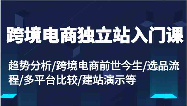 跨境电商独立站入门课：趋势分析/跨境电商前世今生/选品流程/多平台比较/建站演示等-虫2小屋