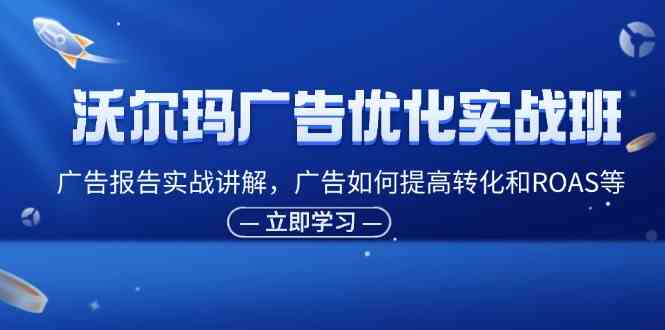 沃尔玛广告优化实战班，广告报告实战讲解，广告如何提高转化和ROAS等-虫2小屋