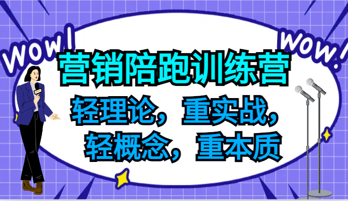 营销陪跑训练营，轻理论，重实战，轻概念，重本质，适合中小企业和初创企业的老板-虫2小屋