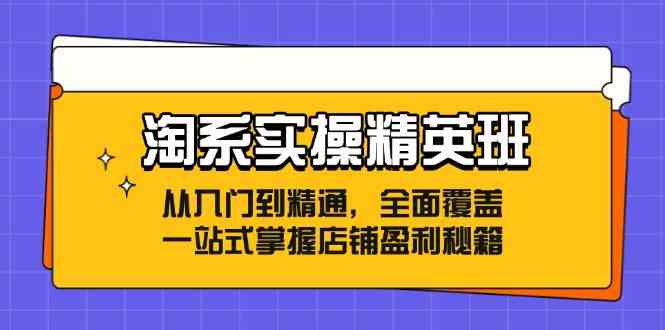 淘系实操精英班：从入门到精通，全面覆盖，一站式掌握店铺盈利秘籍-虫2小屋