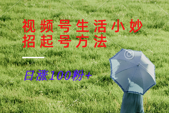 视频号生活小妙招分享赛道， 起号涨粉新方法，日涨100粉-虫2小屋