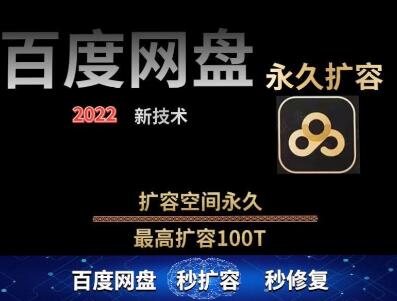 百度网盘无限扩容技术，外面卖399的，无论自己用还是用做引流都可以-虫2站点