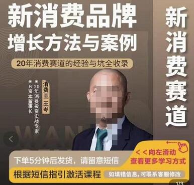 王岑·新消费品牌增长方法与案例，20年消费赛道的经验与坑全收录-虫2小屋