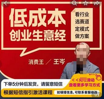 王岑·低成本创业生意经，从8个点深度剖析低成本成功案例，让广大创业者不再迷茫-虫2小屋