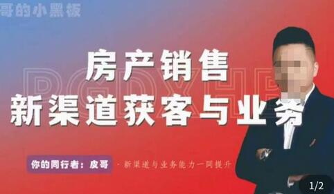 皮哥·房产销售新渠道获客与业务，​打造新时代房产经纪达人，助力行业新人成长为业内精英-虫2小屋