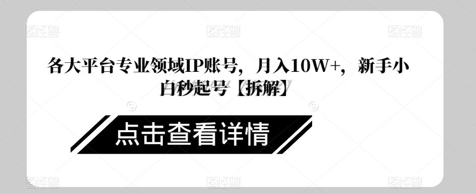 各大平台专业领域IP账号，月入10W+，新手小白秒起号【拆解】-虫2小屋