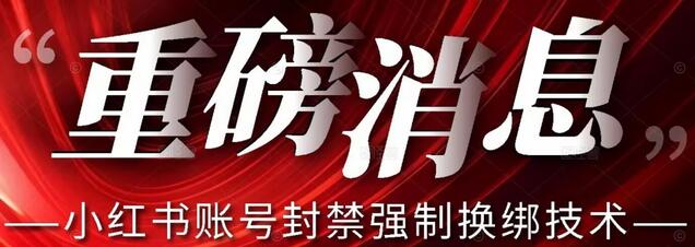 小红书账号封禁强制换绑技术可日赚300-虫2小屋