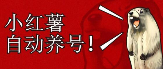 小红书养号秘籍，如何自动涨粉清晰系统标签打造高权重账号-虫2小屋