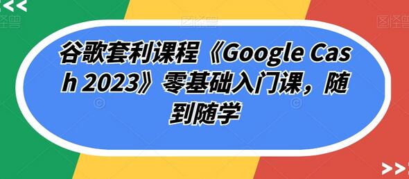 谷歌套利课程《Google Cash 2023》零基础入门课，随到随学-虫2小屋