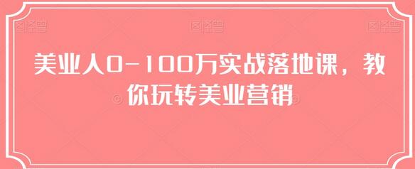 美业人0-100万实战落地课，教你玩转美业营销-虫2小屋
