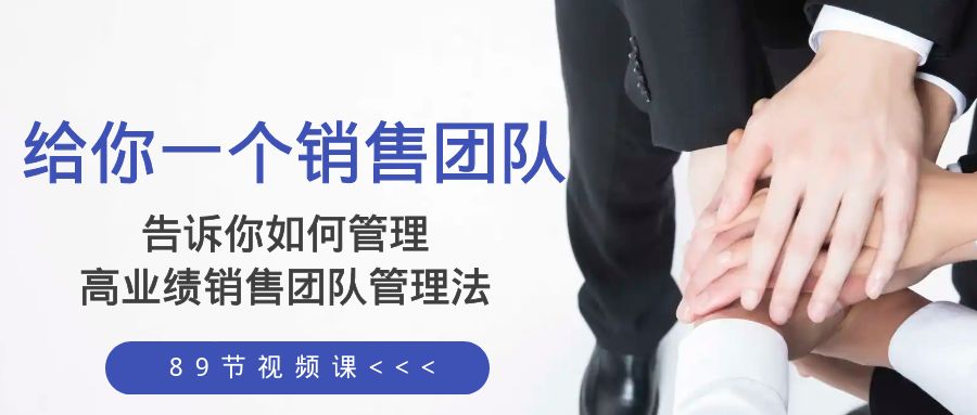 给你 一个销售团队，告诉你如何管理，高业绩销售团队管理法（89节课）-虫2小屋