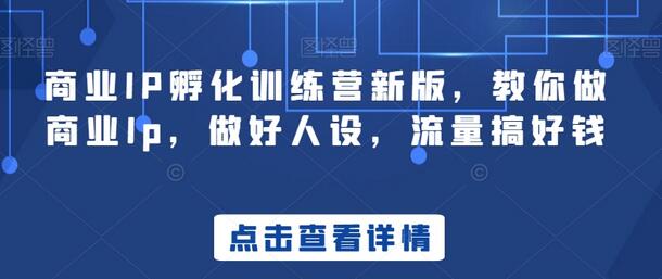 商业IP孵化训练营新版，教你做商业Ip，做好人设，流量搞好钱-虫2小屋