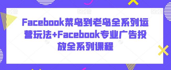 Facebook菜鸟到老鸟全系列运营玩法+Facebook专业广告投放全系列课程-虫2小屋