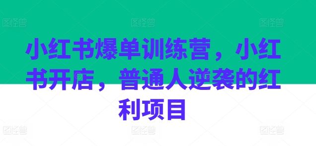 小红书爆单训练营，小红书开店，普通人逆袭的红利项目-虫2小屋