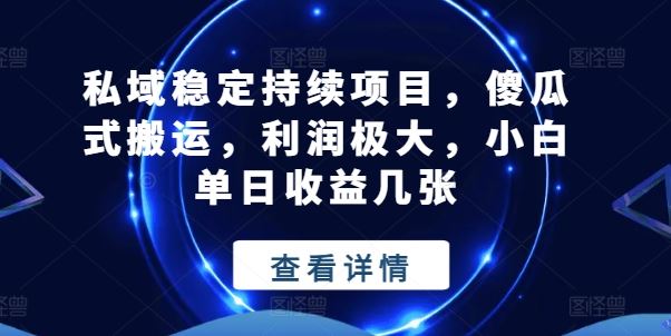 私域稳定持续项目，傻瓜式搬运，利润极大，小白单日收益几张【揭秘】-虫2小屋