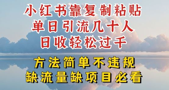 小红书靠复制粘贴单日引流几十人目收轻松过千，方法简单不违规【揭秘】-虫2小屋