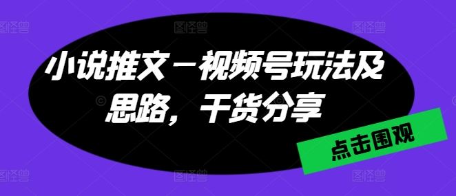 小说推文—视频号玩法及思路，干货分享-虫2小屋
