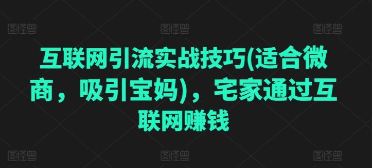 互联网引流实战技巧(适合微商，吸引宝妈)，宅家通过互联网赚钱-虫2小屋