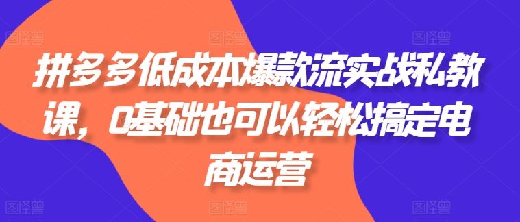 拼多多低成本爆款流实战私教课，0基础也可以轻松搞定电商运营-虫2小屋
