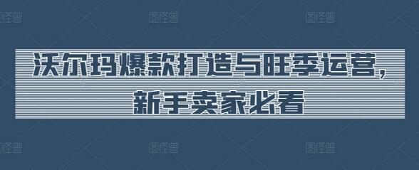 沃尔玛爆款打造与旺季运营，新手卖家必看-虫2小屋