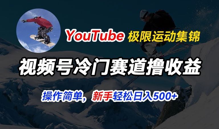 视频号冷门赛道撸收益，YouTube搬运极限运动集锦，暴力起号，操作简单流量高，轻松日入5张【揭秘】-虫2小屋