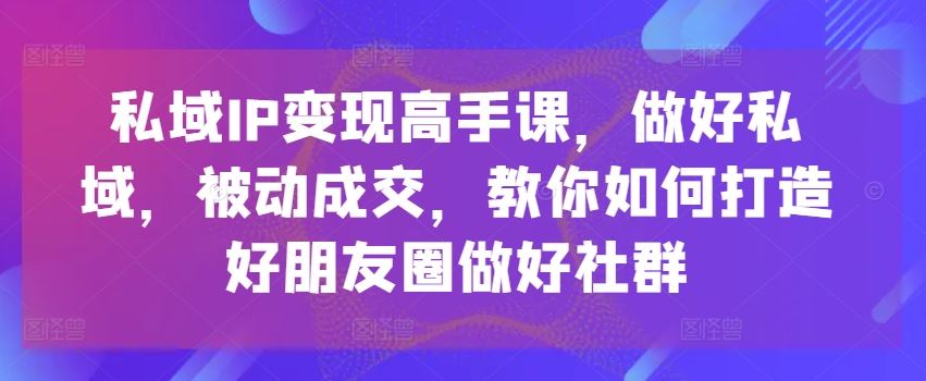 私域IP变现高手课，做好私域，被动成交，教你如何打造好朋友圈做好社群-虫2小屋