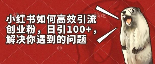 小红书如何高效引流创业粉，日引100+，解决你遇到的问题【揭秘】-虫2小屋